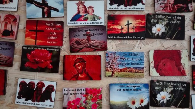 Na tropie wykształcenia